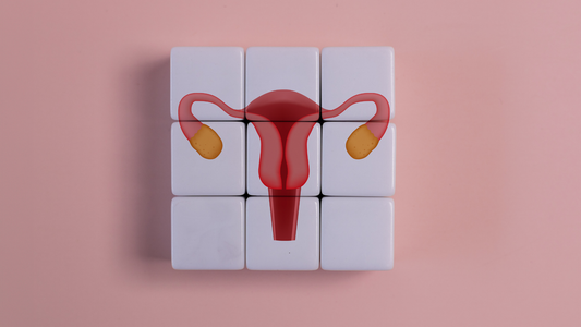 What Is PCOS Belly? Causes, Solutions, and What Actually Works